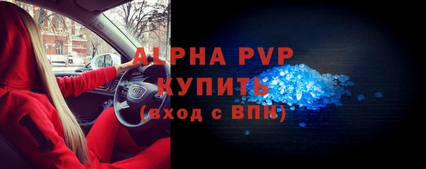 ГАЛЛЮЦИНОГЕННЫЕ ГРИБЫ Белокуриха