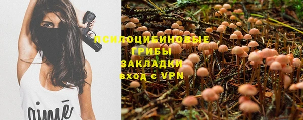 стафф Беломорск