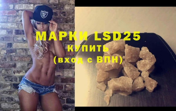 ГАЛЛЮЦИНОГЕННЫЕ ГРИБЫ Белокуриха